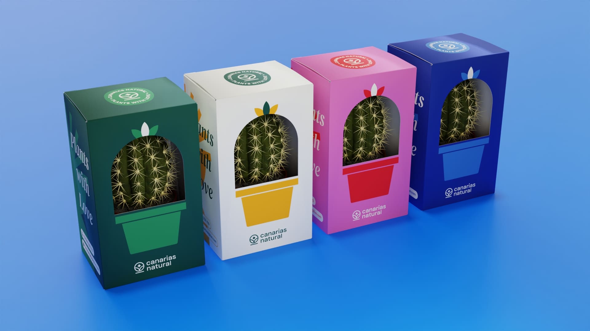 packaging todos los colores