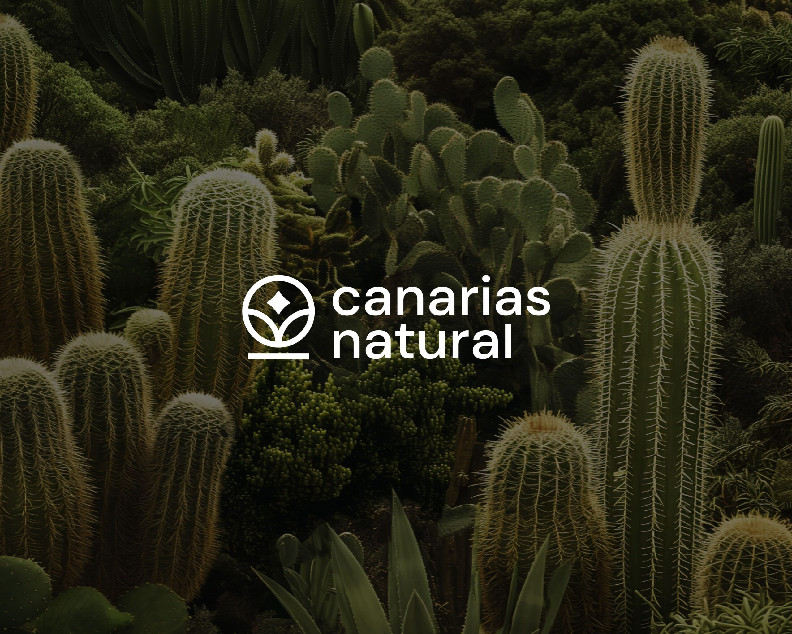 presentacion logo canarias natural scaled